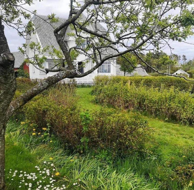Shared Farmhouse Stavanger Exterior photo